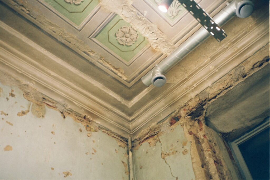 ceiling mold